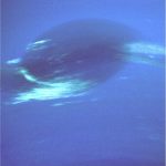 Neptuns dunkler Fleck