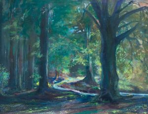 Schützt den Wunderwald! – Nach über 100 Jahren hat der Aufruf des Kunstmalers Bruno Wittenstein an Aktualität nicht verloren